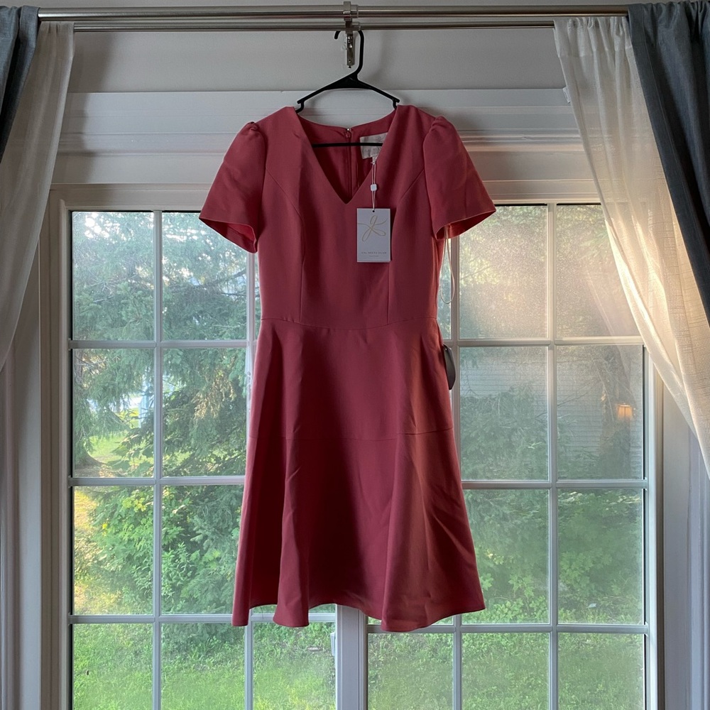 Gal Meets Glam Kate Dress (Pink)